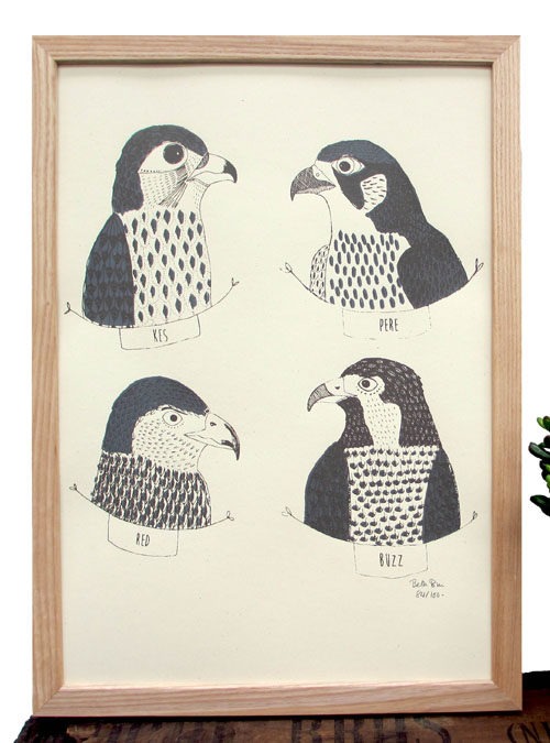 Close up of birds in prey art print featuring 4 birds of prey on a natural white background