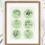 Art print featuring some plants you can foriage such as elderflower, blackberries, nettles, mushrooms, mussels, wild garlic.