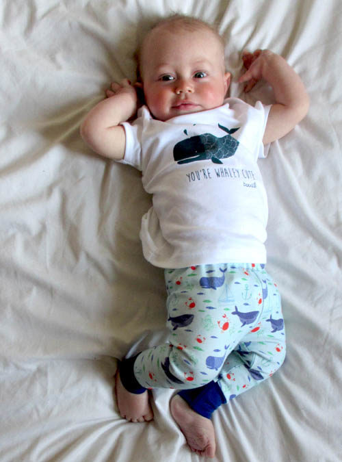 organic whale baby leggings