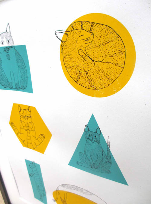Close up photo of cats fitting into different shapes. Screen print with yellow and teal shapes and cat illustrations over the top