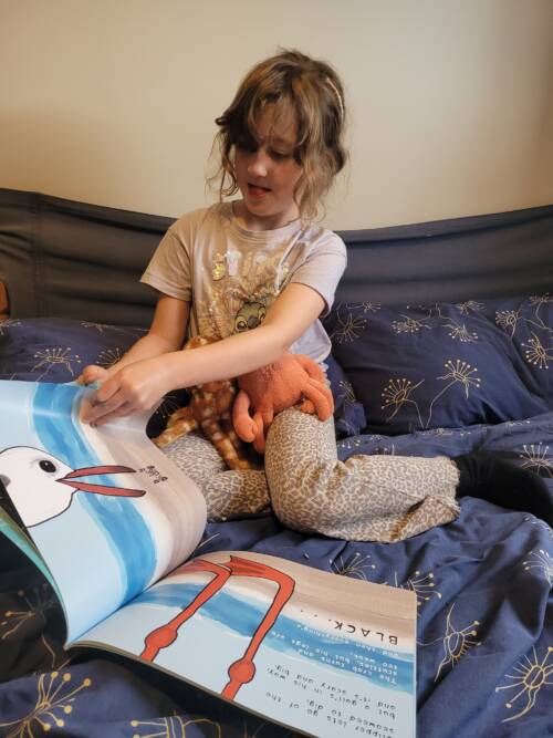 Clipper and Clawzo-picture book - Image 4