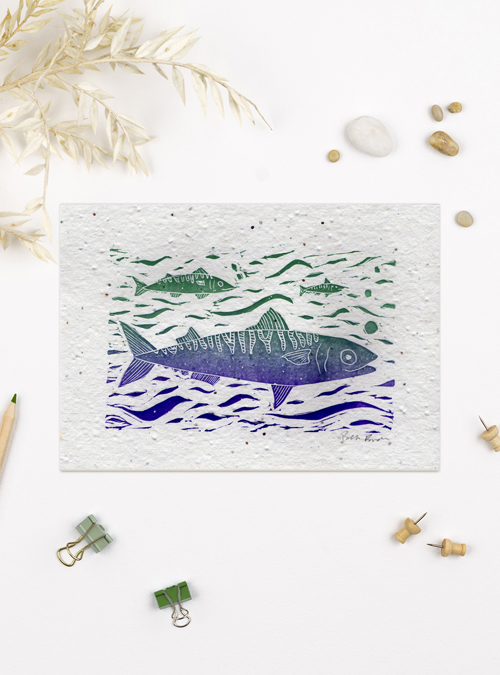Photograph of mackerel art print featuring 3 mackerel fish with a nice purple and teal colour blend